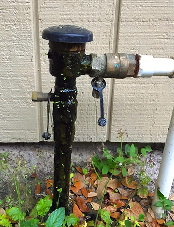 residential backflow valve